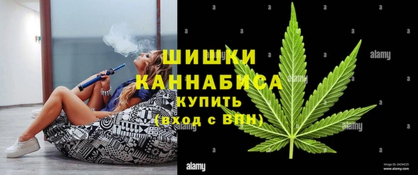 мдпв Дмитров
