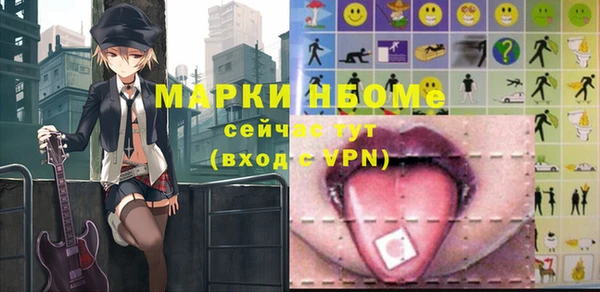 соль ск Дмитровск