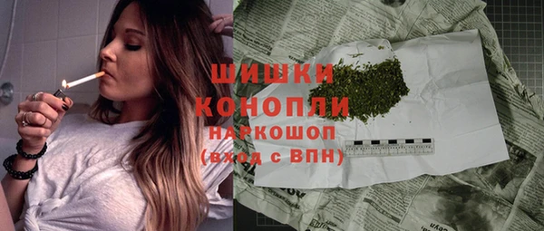 мдпв Дмитров