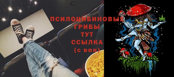 мдпв Дмитров
