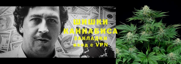 мдпв Дмитров
